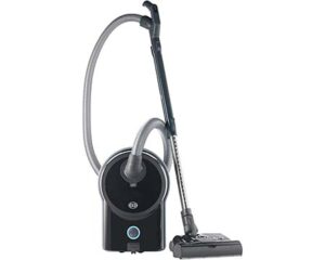 SEBO AIRBELT D4 Premium Canister Vacuum for sale near me cheap